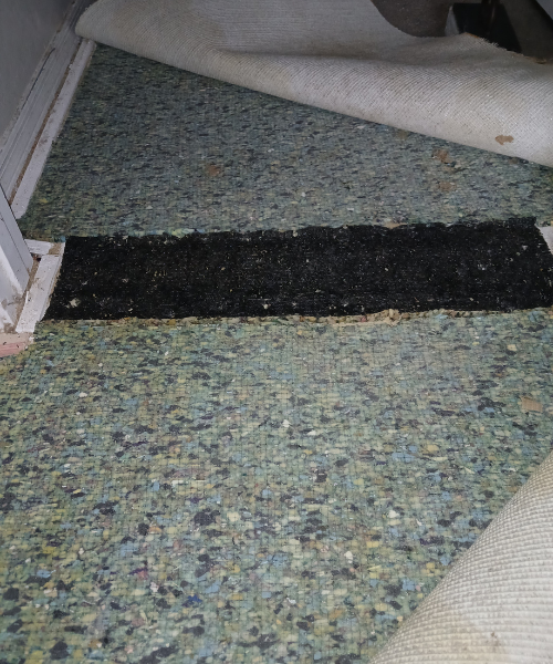 A close up of a carpeted floor with a black strip