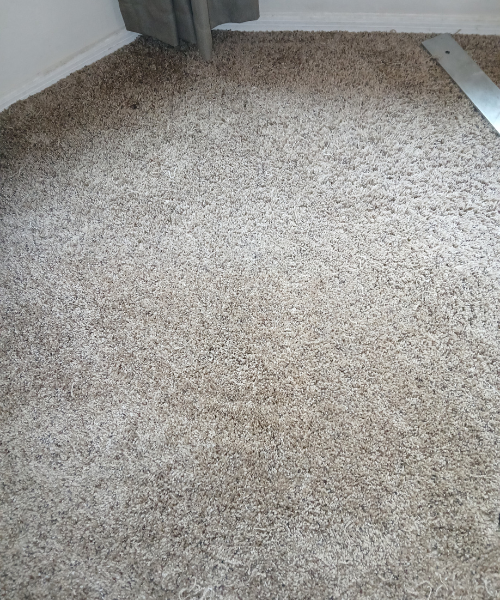 A bathroom with a toilet and a rug on the floor